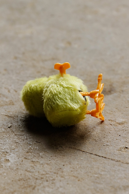 Famille et amis NOV12-039